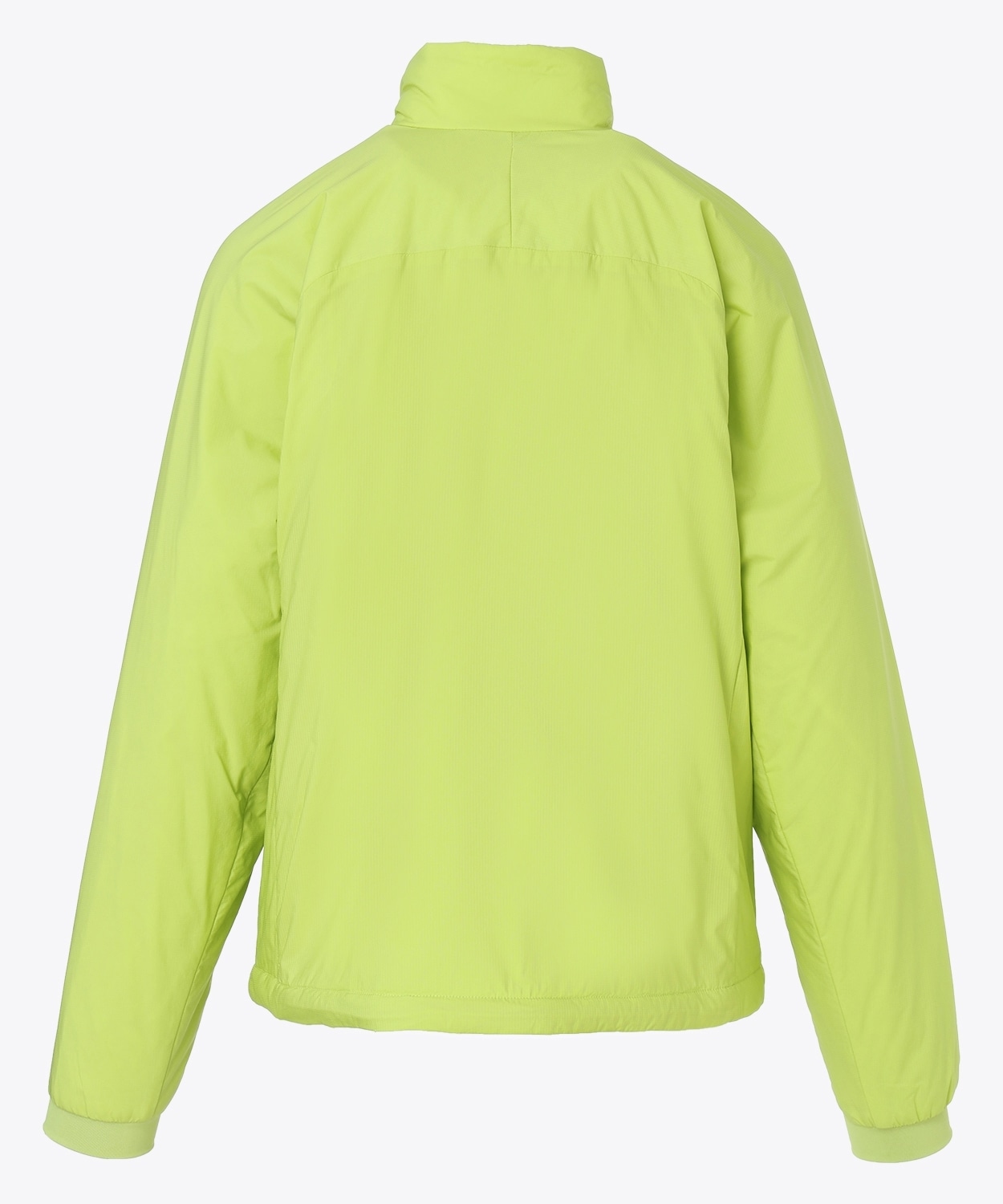 363Bright Lichen