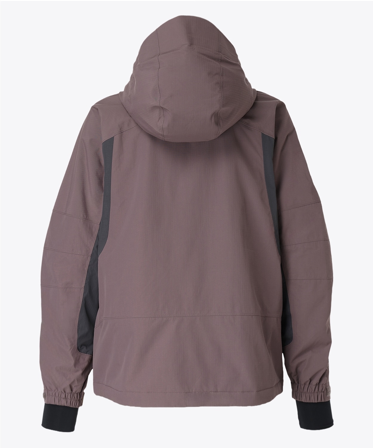 574Purple Sage Shark