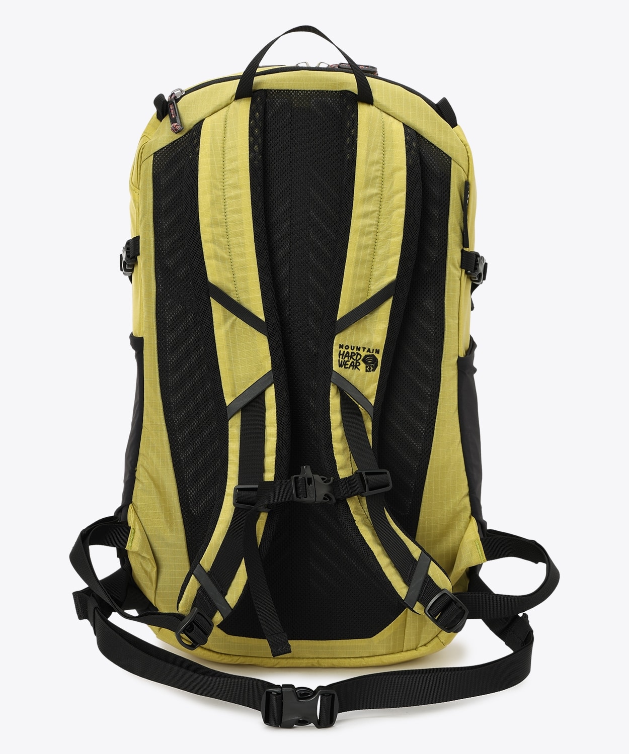 351Bright Olive