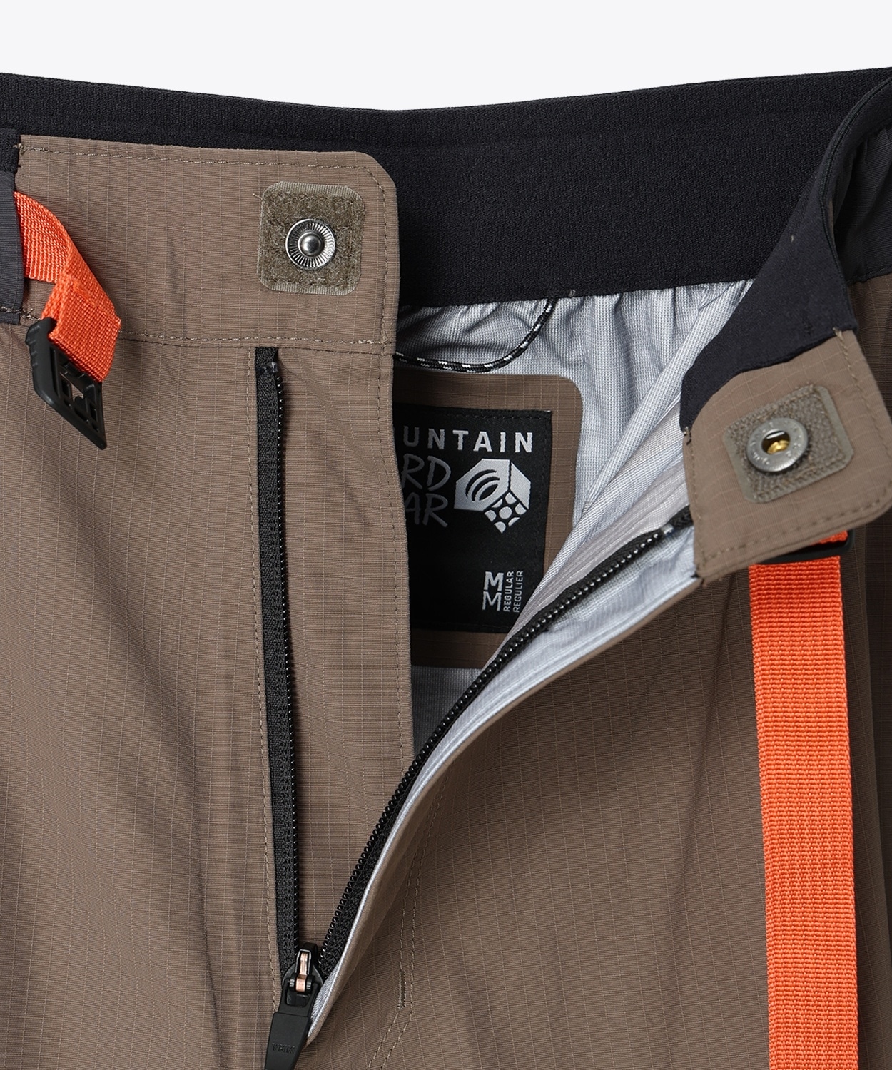 246Tierra Shark