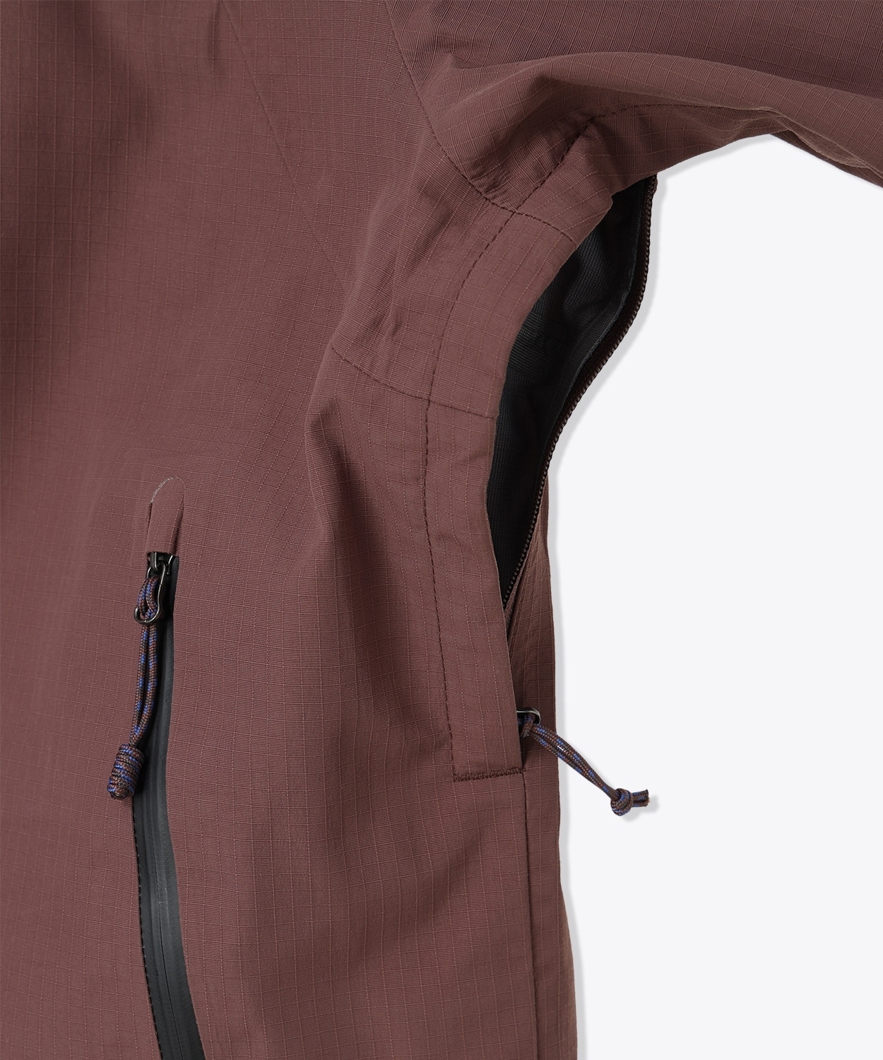 219Carob Shark