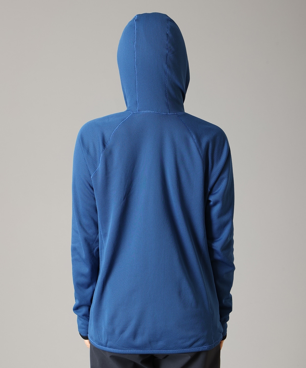 488Berry Blue