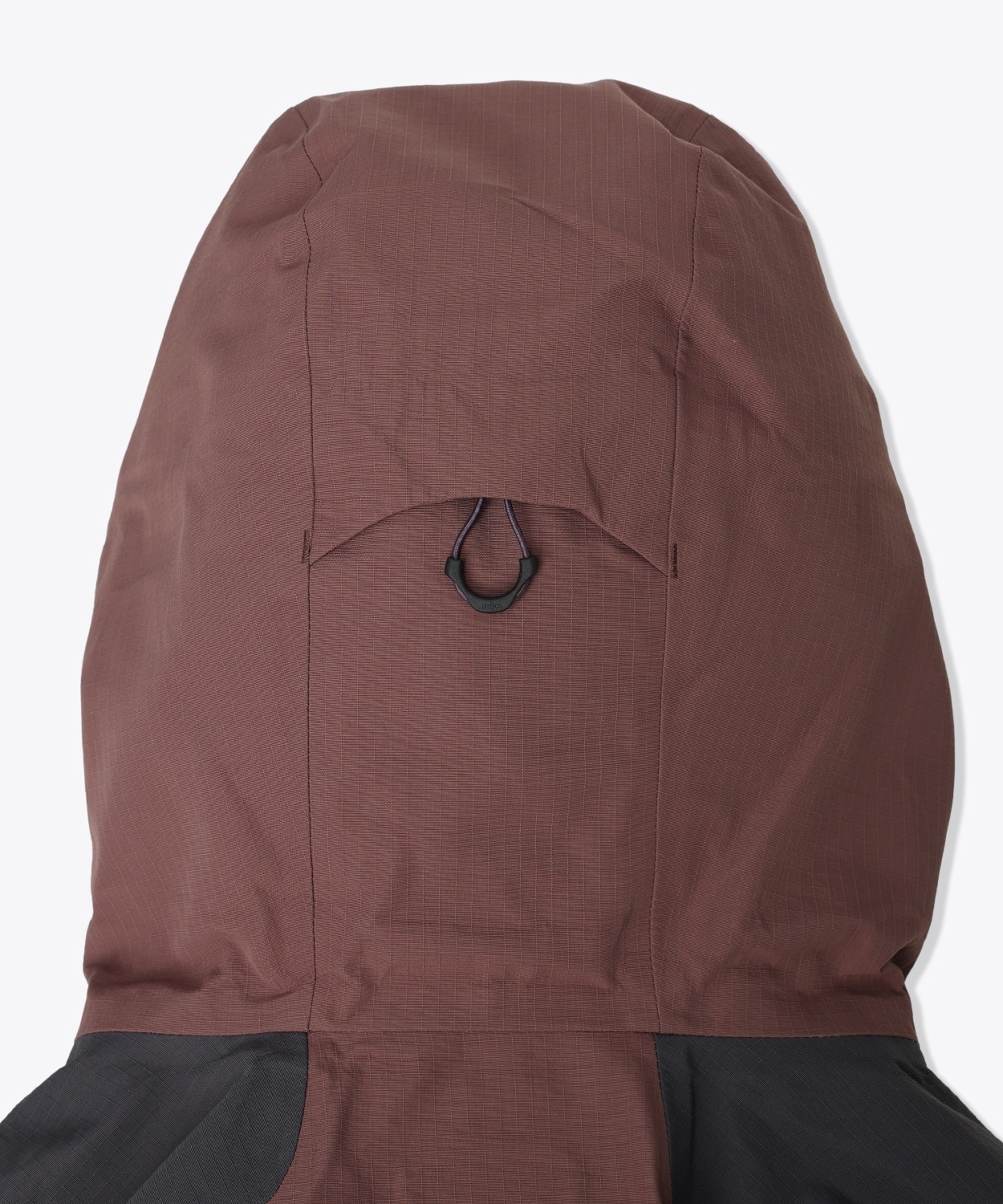 219Carob Shark