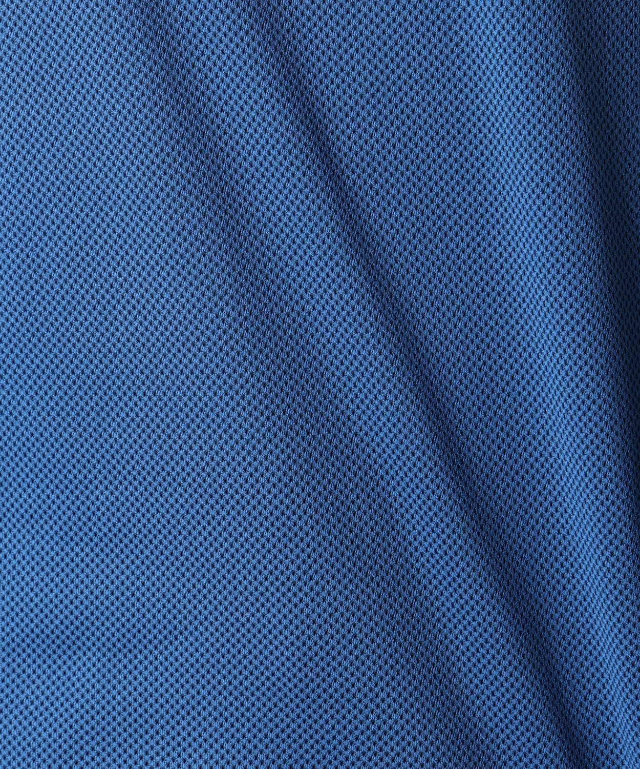 488Berry Blue