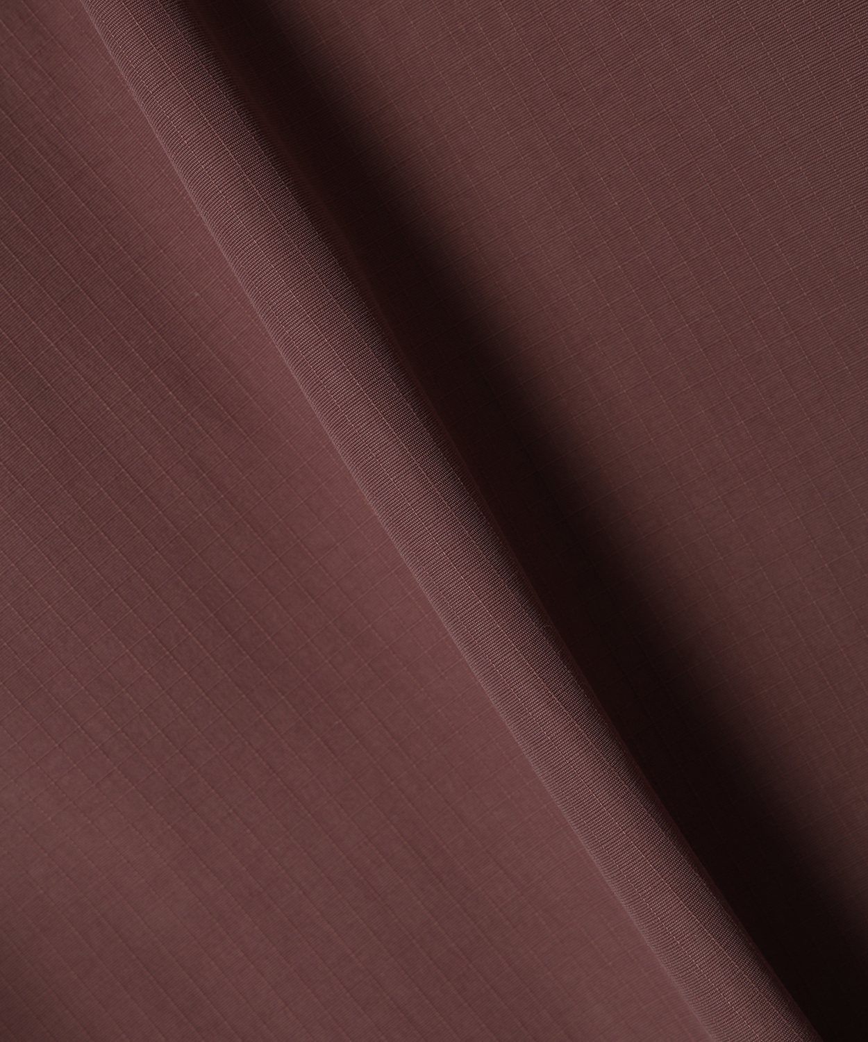 219Carob Shark