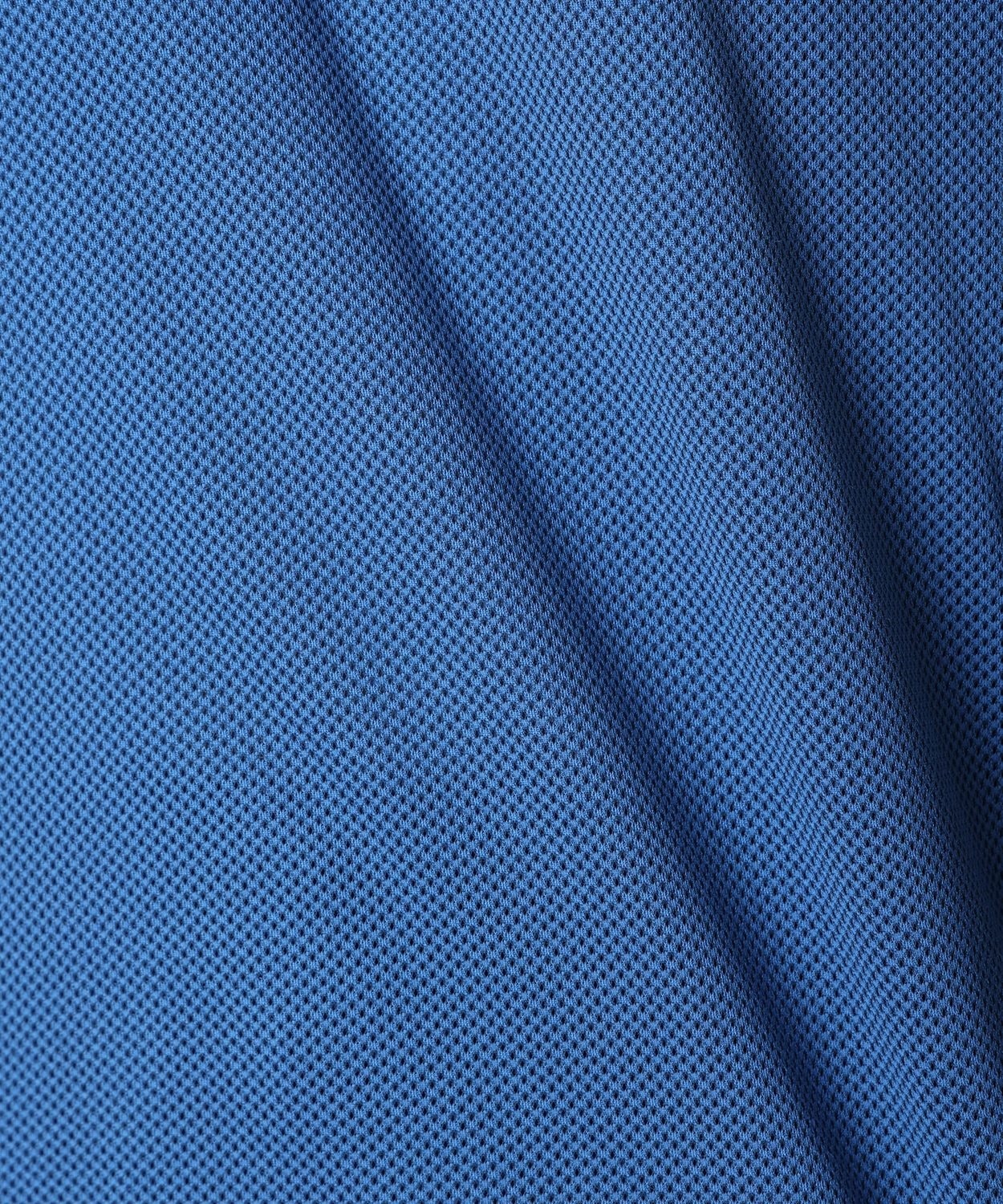 488Berry Blue