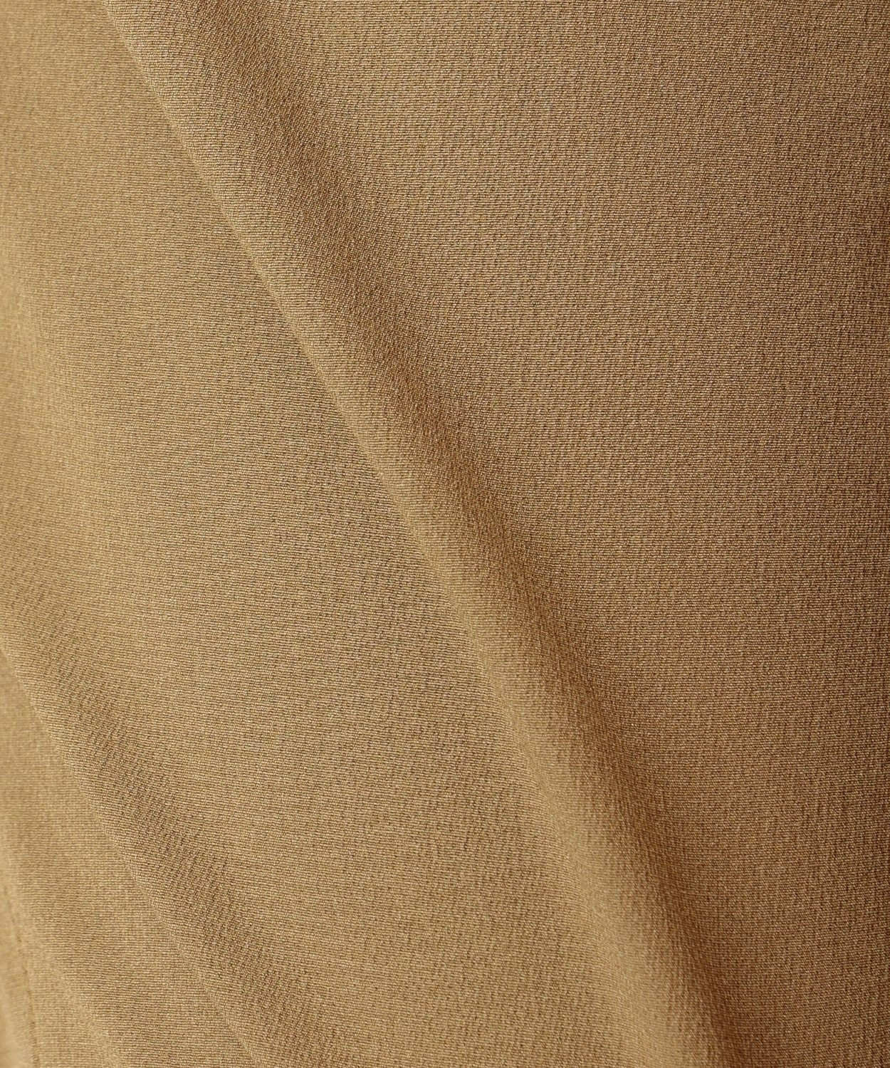 239Corozo Nut